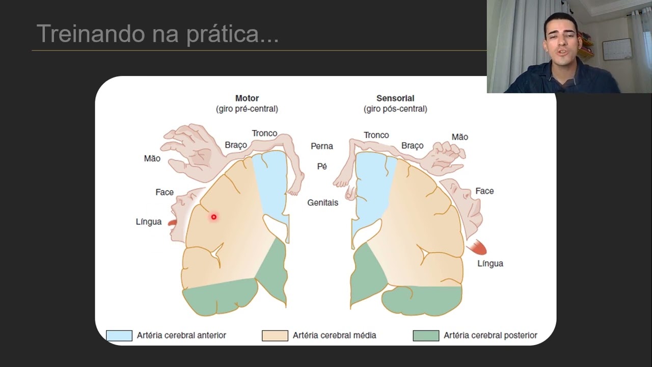 Treinando a prescrição médica - Caso 01 - Raciocínio clínico em Semiologia Médica
