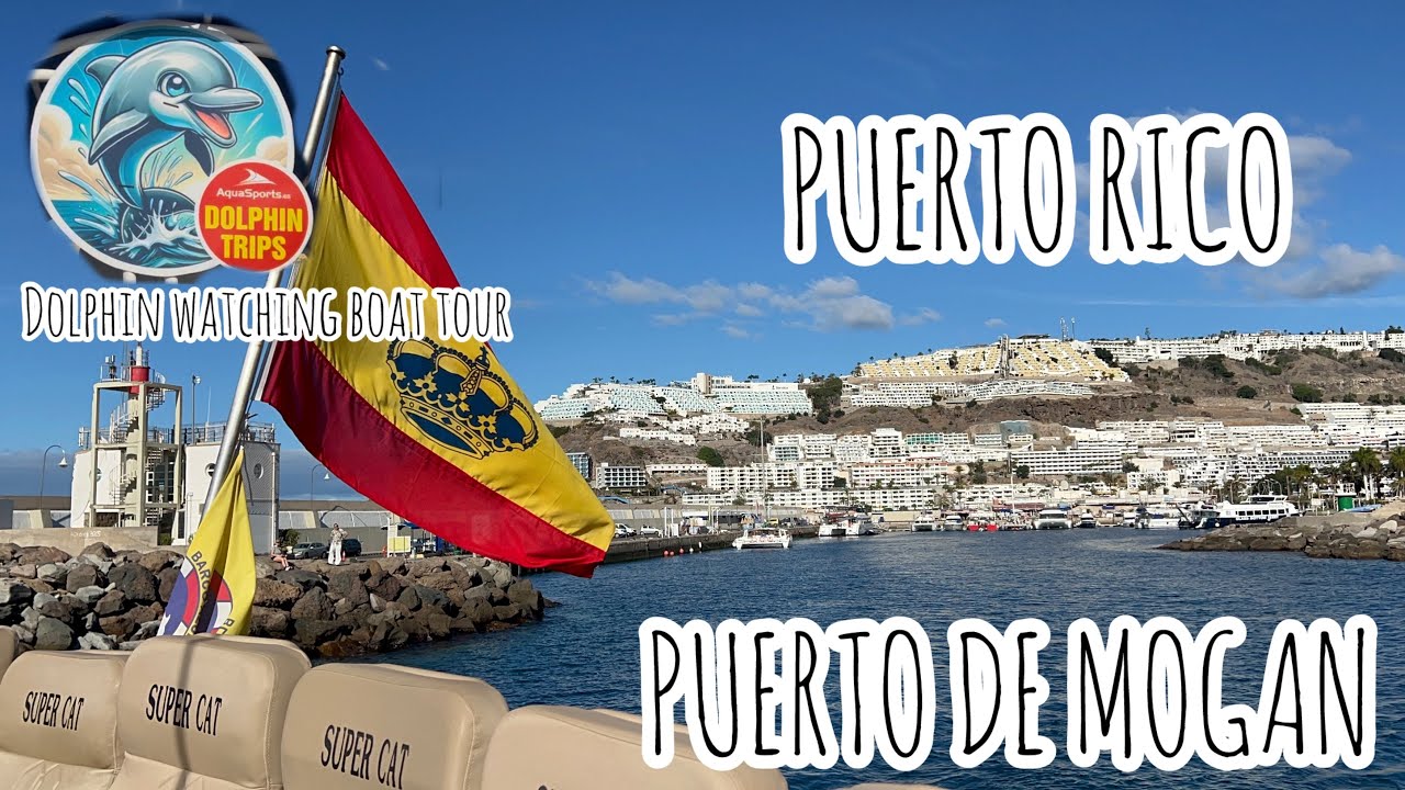 Dolphin Watching in Puerto Rico 🇪🇸 | Puerto de Mogán Boat Trip
