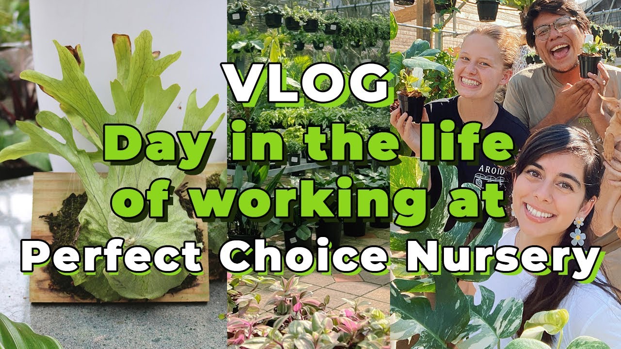 Come to work with us at Perfect Choice Nursery | What its really like to work at a Garden Center