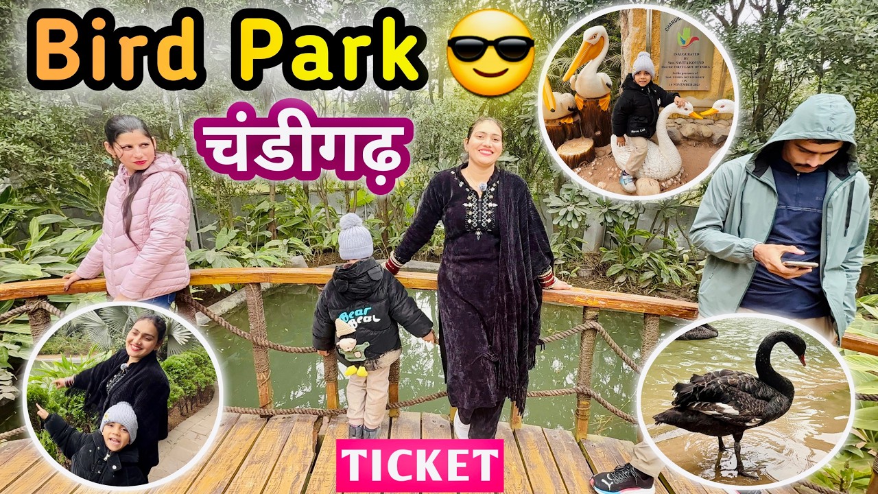 Bird Park Chandigarh | Chandigarh Bird Park | Chandigarh Tourist Places Bird Sanctuary |