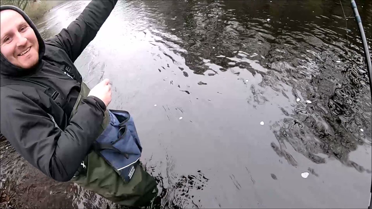 Fishing The River Tees Stick-Float Grayling Sun Dec 19 2021