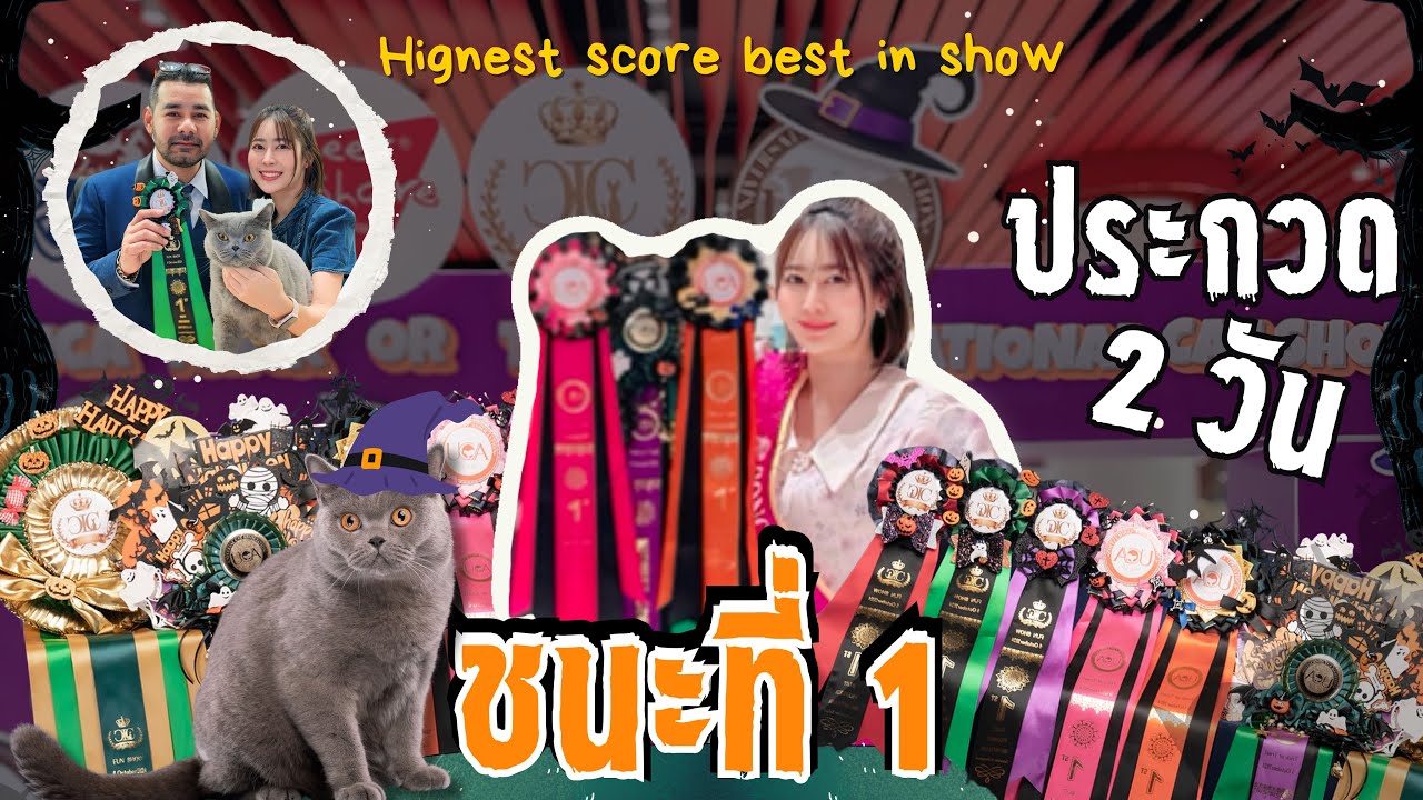 น้องฟอร์เรสประกวดแมว 2 วัน ชนะที่ 1 ขนรางวัลกลับบ้านจุกๆ | CuddleBell