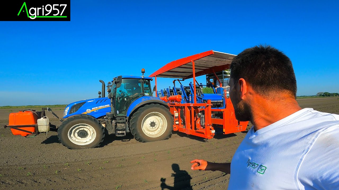 AgriFOCUS 19: TRAPIANTO AUTOMATICO POMODORI | TRAPIANTATRICE FERRARI FUTURA & NEW HOLLAND T5 AC