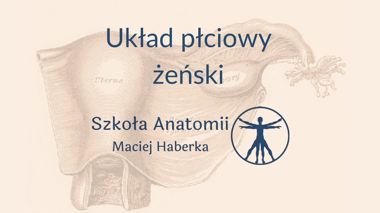 Układ płciowy żeński (wstęp)