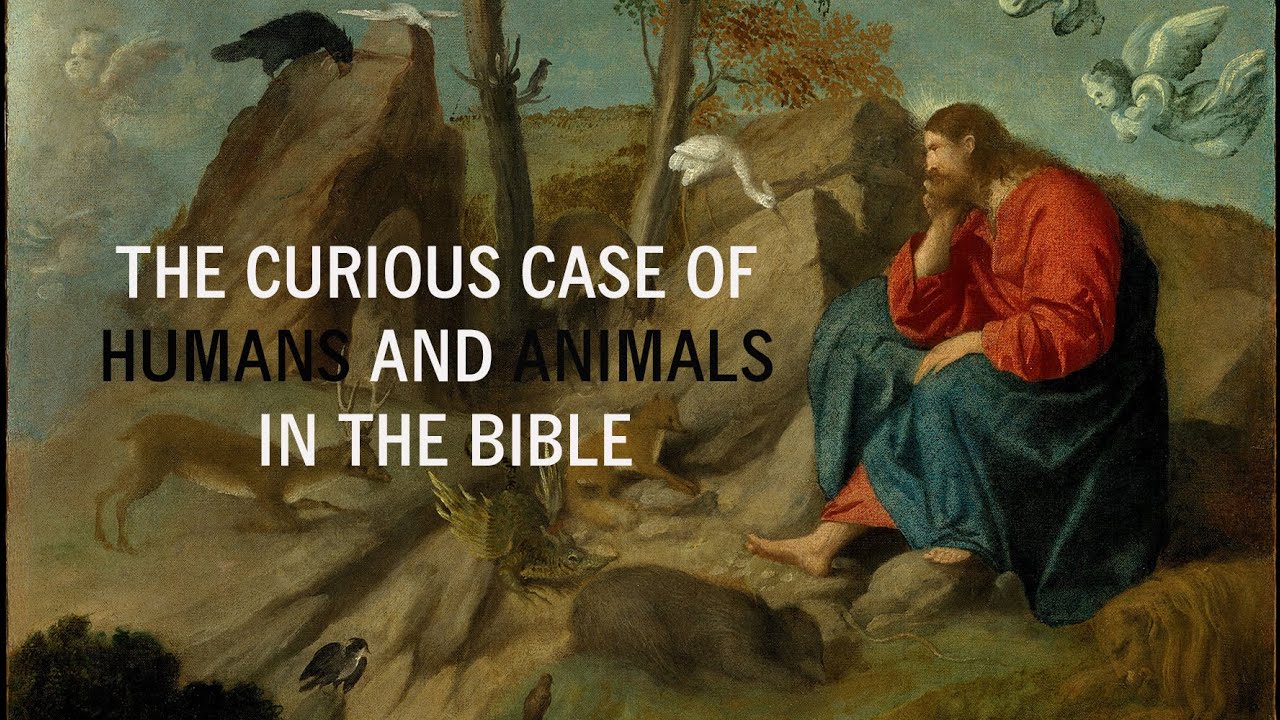 The curious case of humans and animals in the Bible