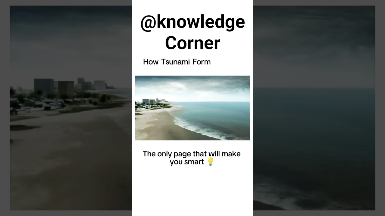 How does a Tsunami form? 🌊 