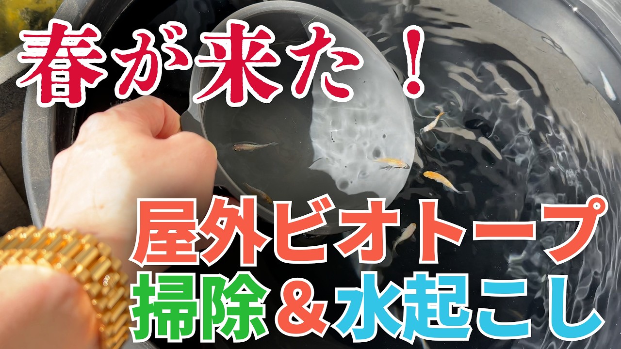 #34 メダ活開始！容器リセット&引越し！