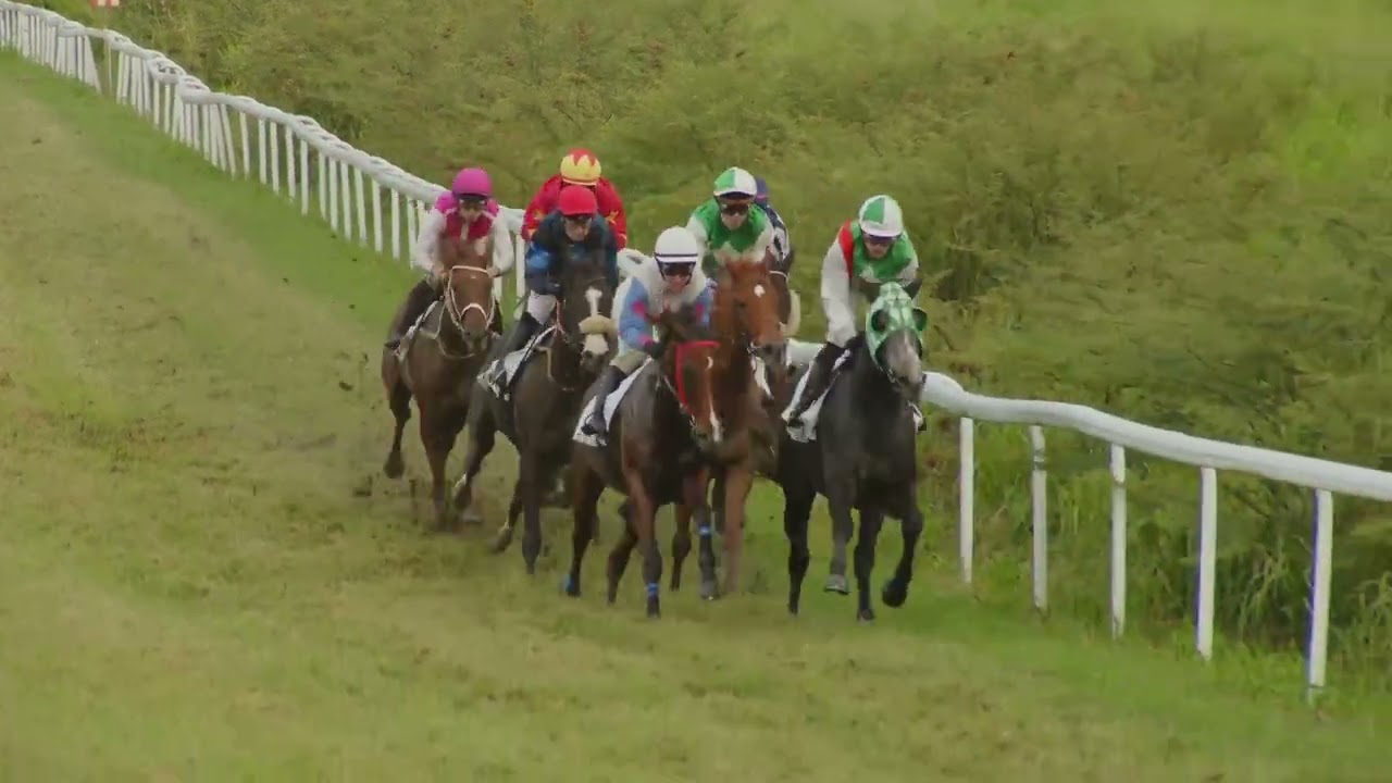 Course 7 PRIX DE L'ANSE DUFOUR 8/11/25