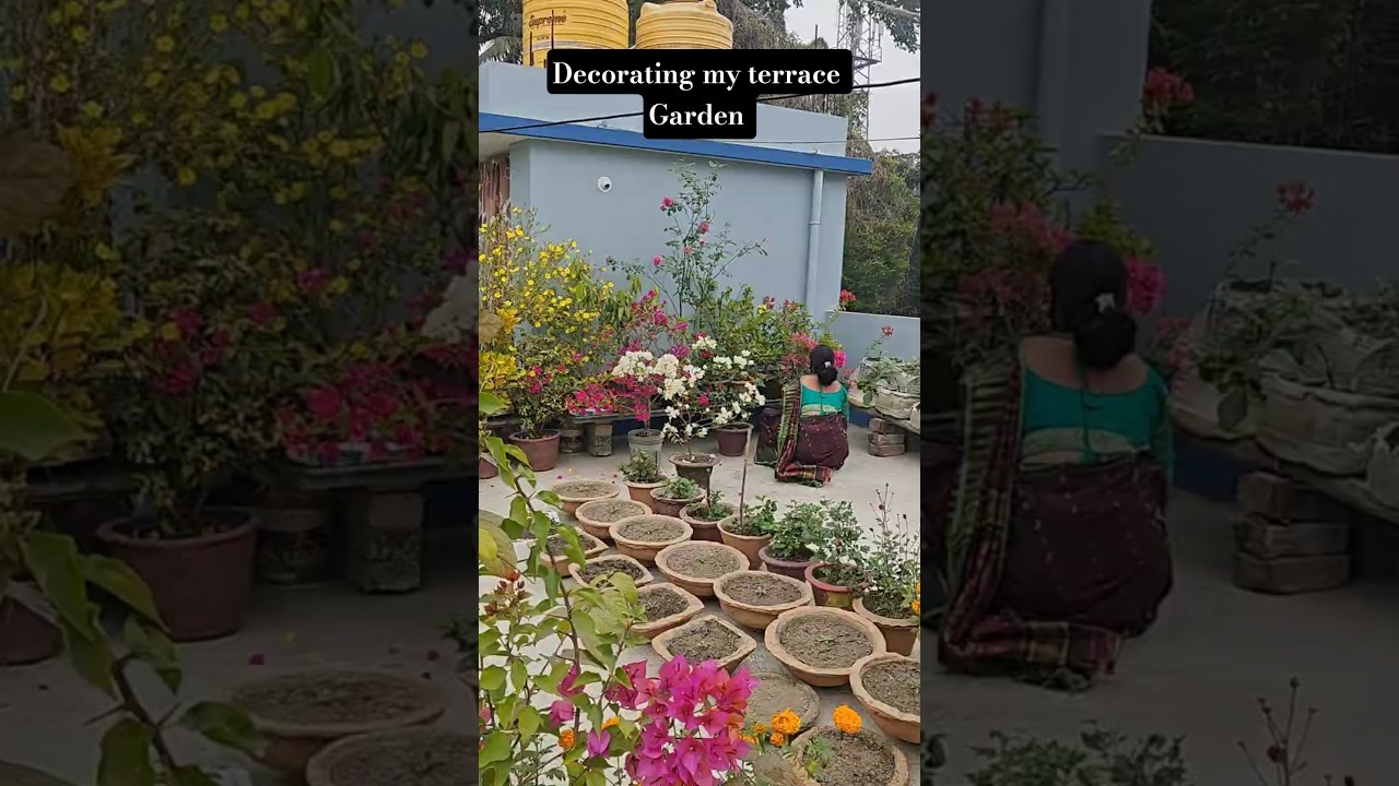 My Terrace Flower Garden | Flower Garden Overview | Flower Garden in Rooftop 