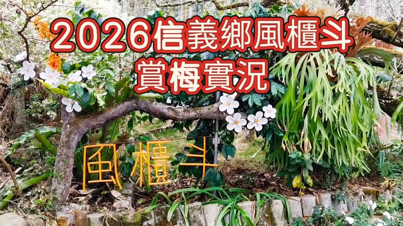 2026年1月12日，信義鄉風櫃斗賞梅實況，有好幾個停車的地方，賞梅還蠻方便的！ |  @九天遊記 87