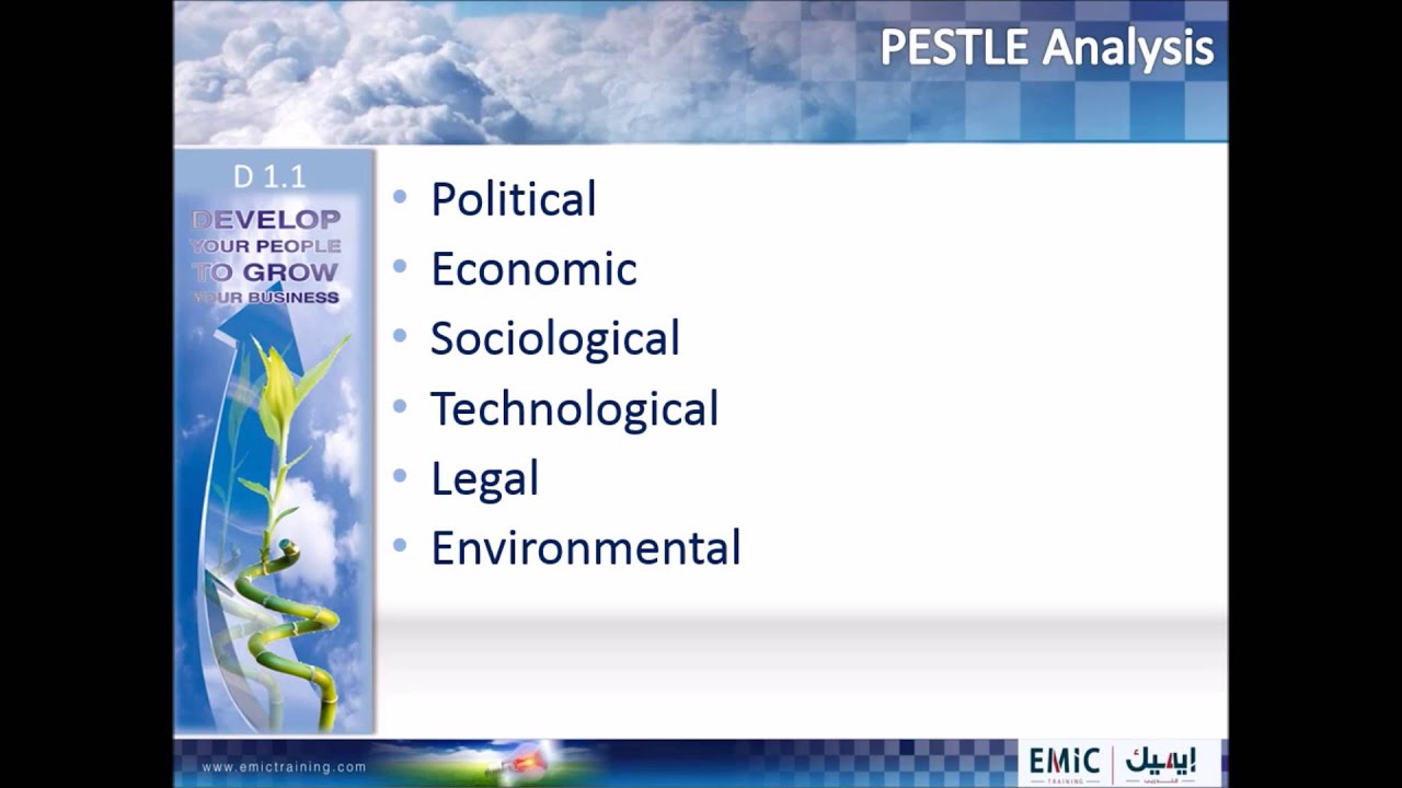 D 1.1 PESTLE Analysis