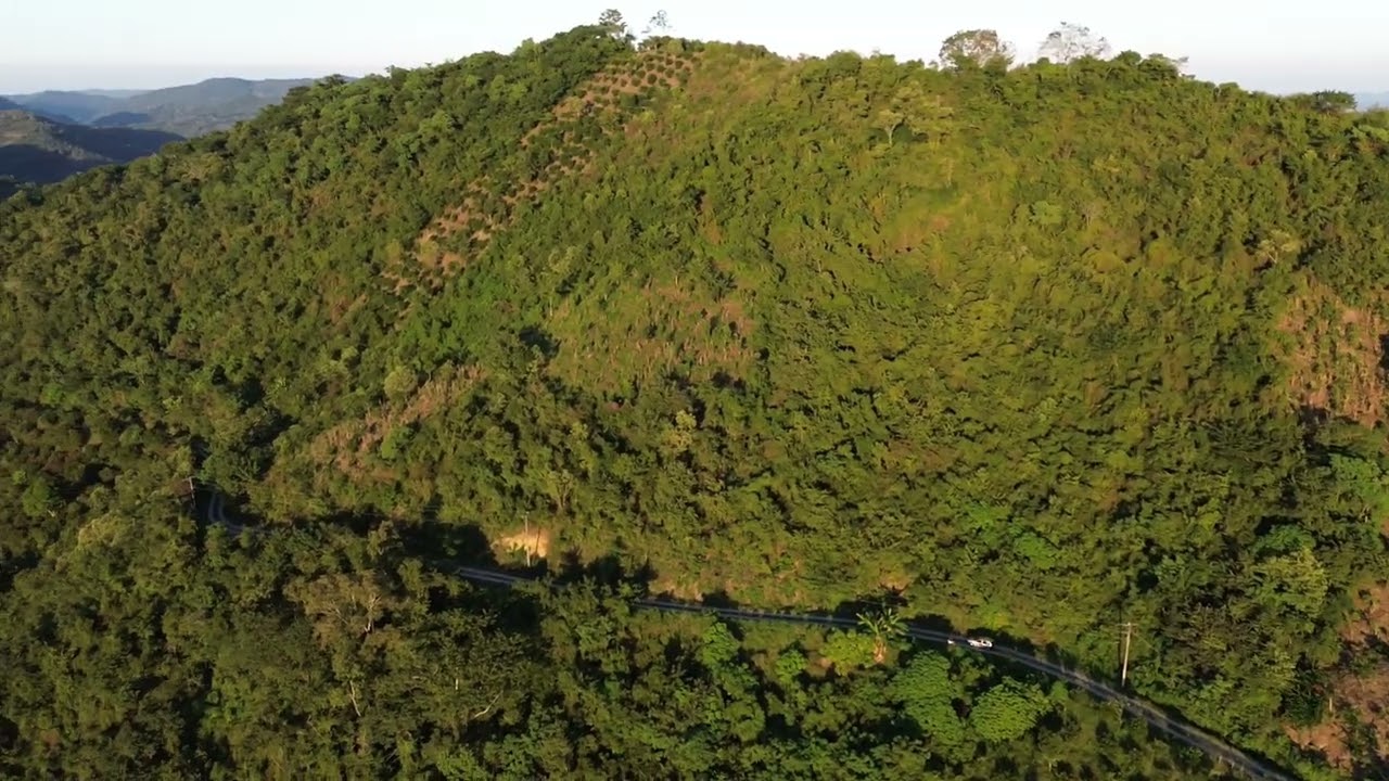 Tepozuapa 1ª Cuayo Cerro  S.L.P