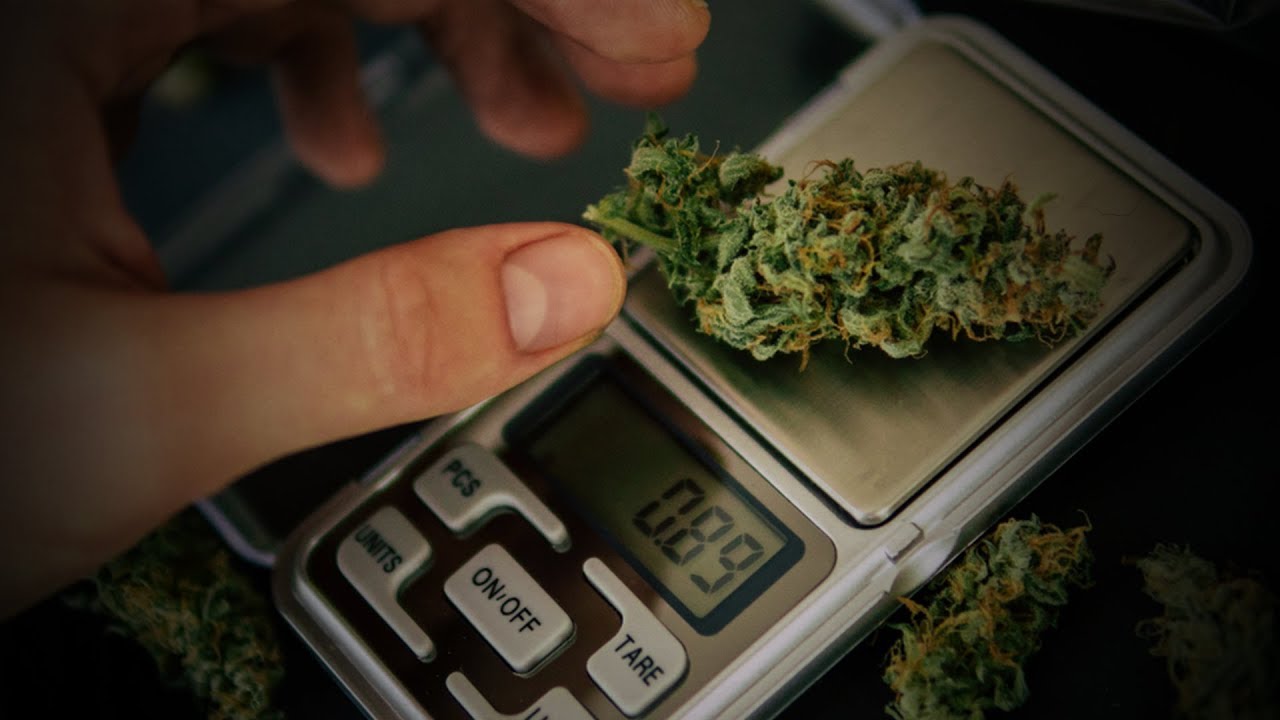 Dispensaries are Weighing Cannabis Incorrectly