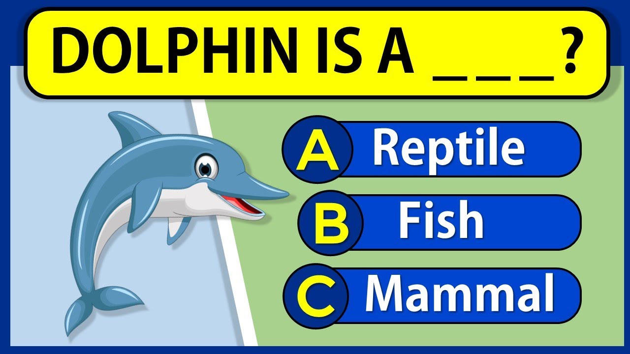How Good Is Your General Knowledge? 25 General Knowledge Questions! #challenge 46
