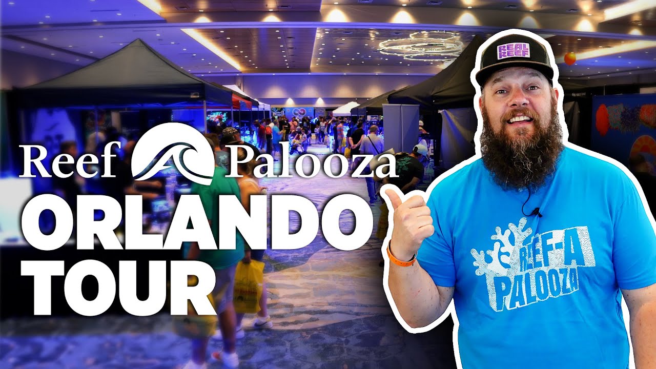 Reef-A-Palooza Orlando 2022 Full Tour!
