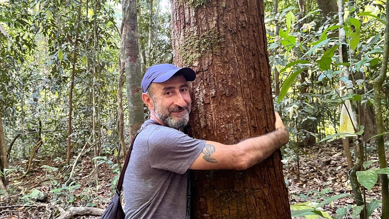 HIKING in WILD RAINFOREST - Things to do in LANGKAWI ISLAND