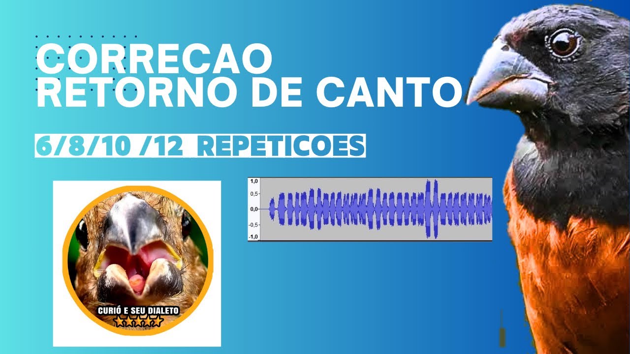 selo prata fh 30 anos capadocia correcao de retorno de canto curio 6 8 10 e 12