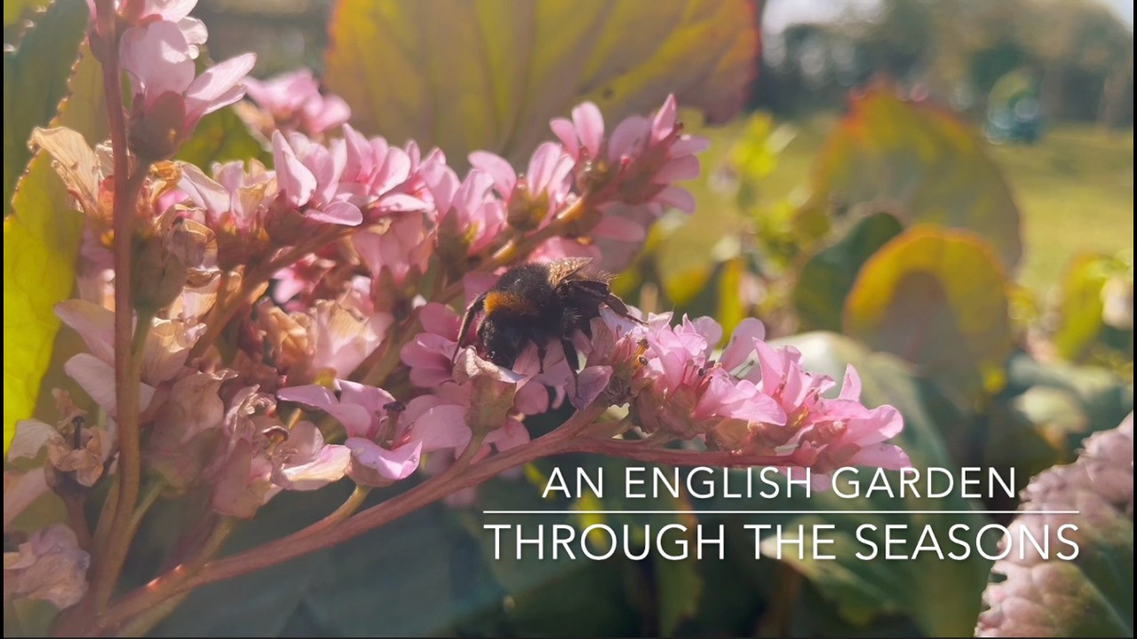 An English Garden through the Seasons