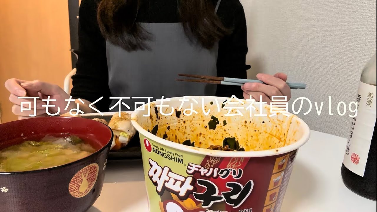 可もなく不可もない会社員の休日vlog┃厄払い、美容施術、買い出し、料理、チャパグリを食べて過ごす面白みのない休日