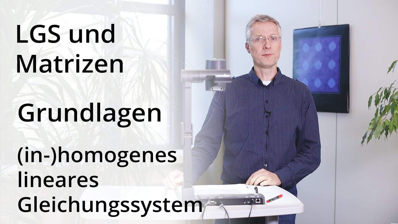LGS und Matrizen - (in-)homogenes lineares Gleichungssystem