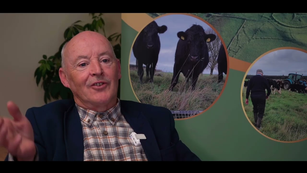Farming Rathcroghan - What We Do
