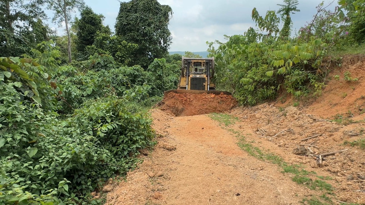 Easy Way to Repair Plantation Roads with a D6R XL Bulldozer