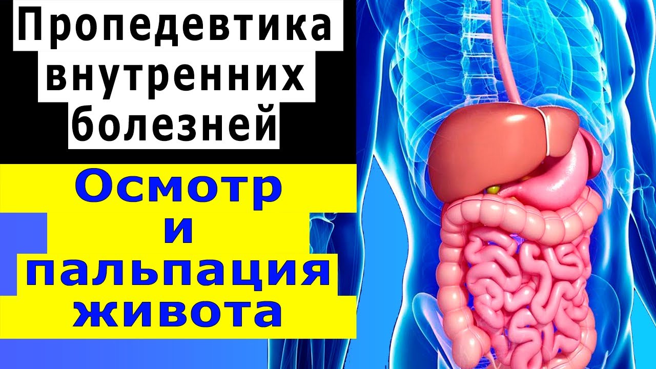 Пропедевтика внутренних болезней | Осмотр живота | Поверхностная и глубокая пальпация живота