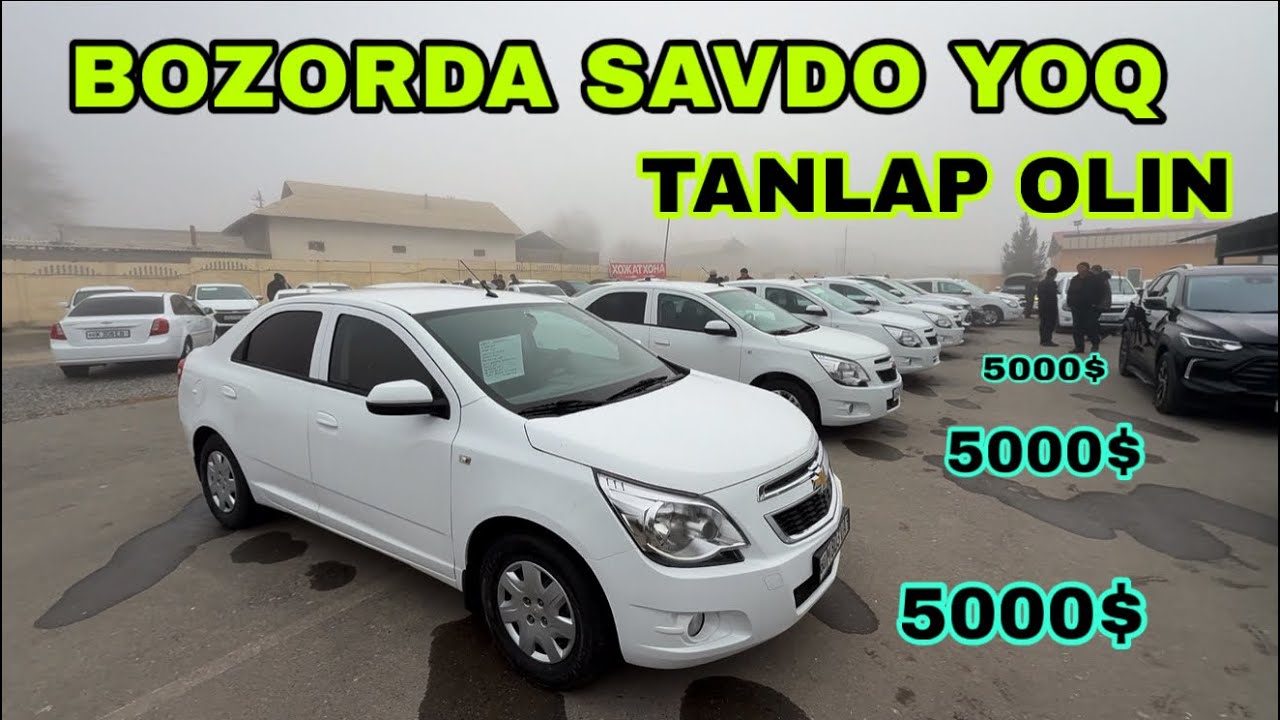 1 март Андижон машина бозори кобилт нархлари Andijon mashina bozori kobilt narxlari 1 mart 