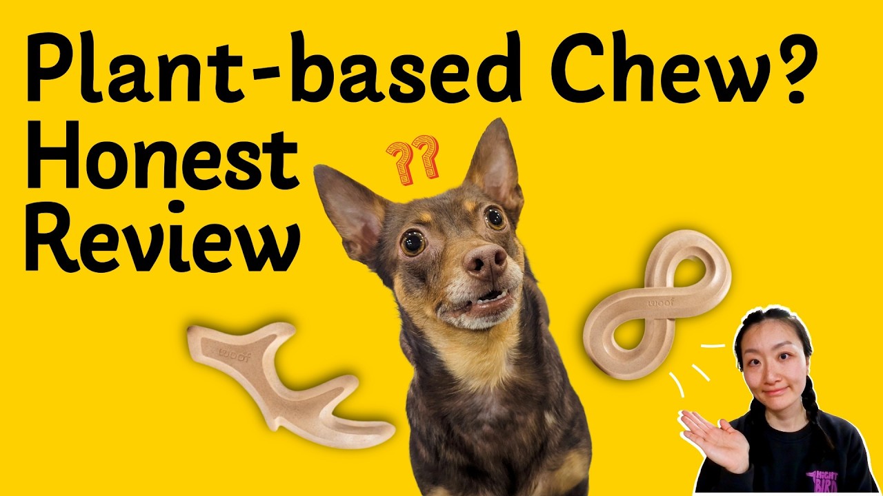 Woof Honest Chew Review 🌱 | Safe or Splinters?