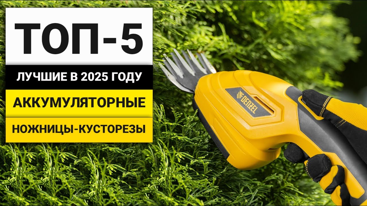 Лучшие аккумуляторные ножницы-кусторезы | ТОП-5 в 2025 году