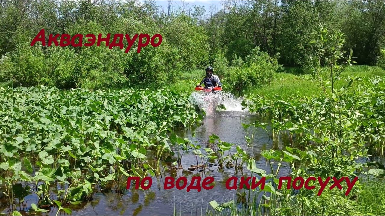 Акваэндуро (по воде аки посуху)