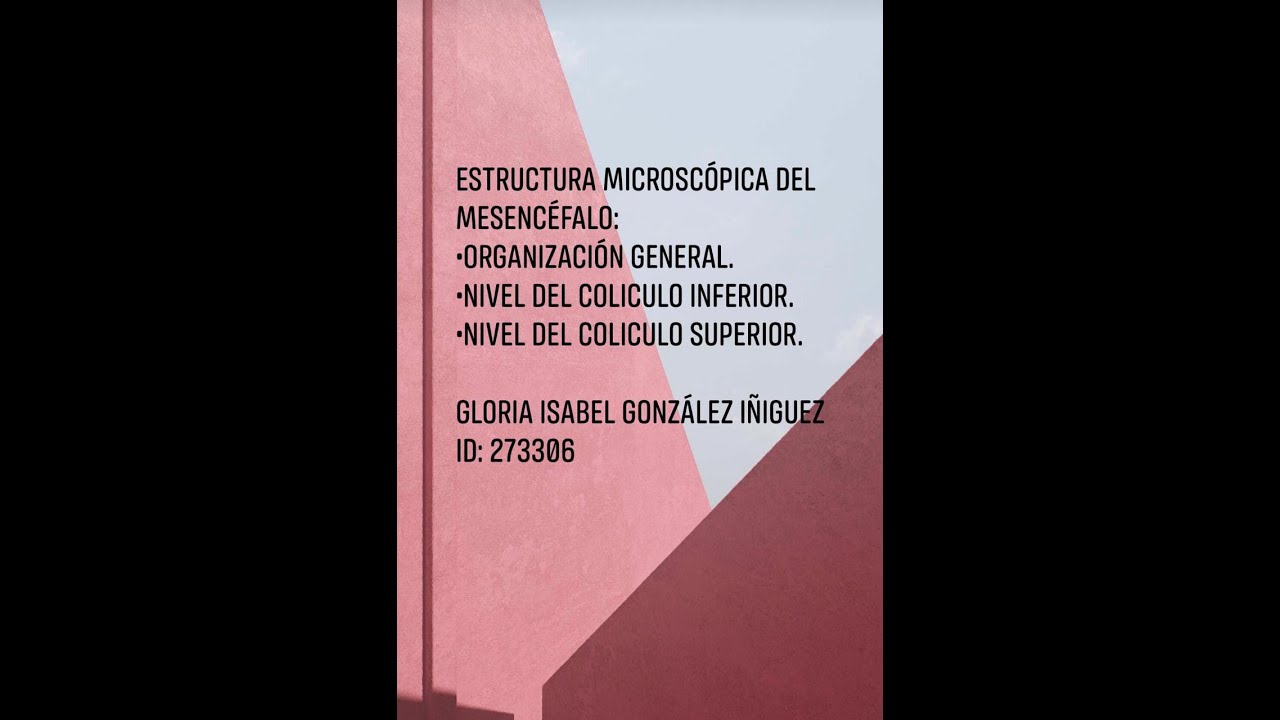 MESENCEFALO. Estructura a nivel del col&iacute;culo inferior y superior.