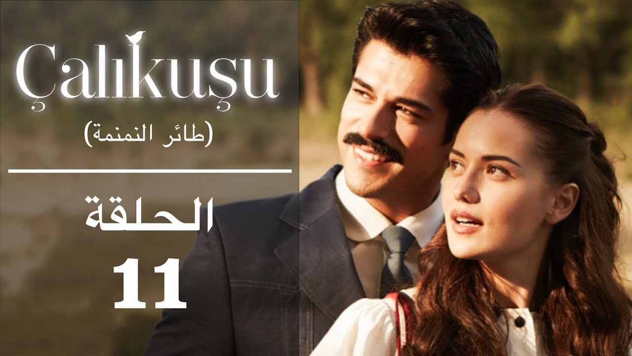 طائر النمنمة | الحلقة 11 - مترجمة للعربية