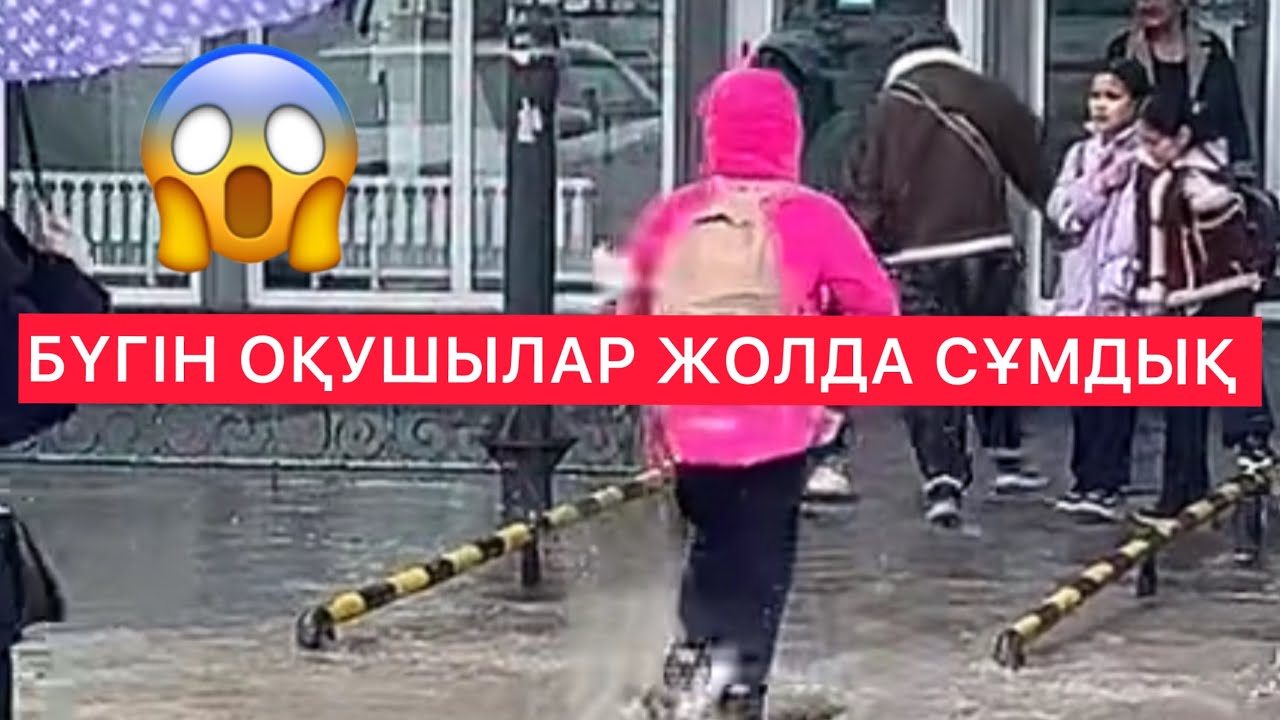 🫣 ӘКІМ-АУ СҰМДЫҚ ҚОЙ МЫНАУ Жандос Тасов Кентау / Жанбол Рахматулла