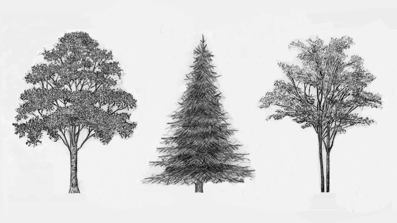 3 простых способа рисовать деревья
