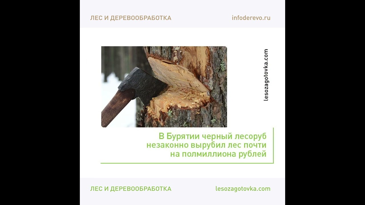 Новости ЛПК. Самое интересное за неделю!
