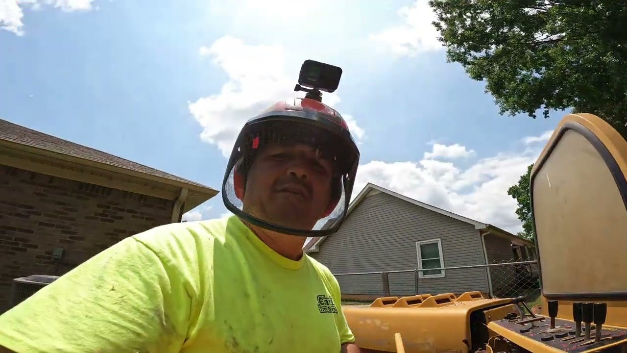 Tree removal job in Hazel Green