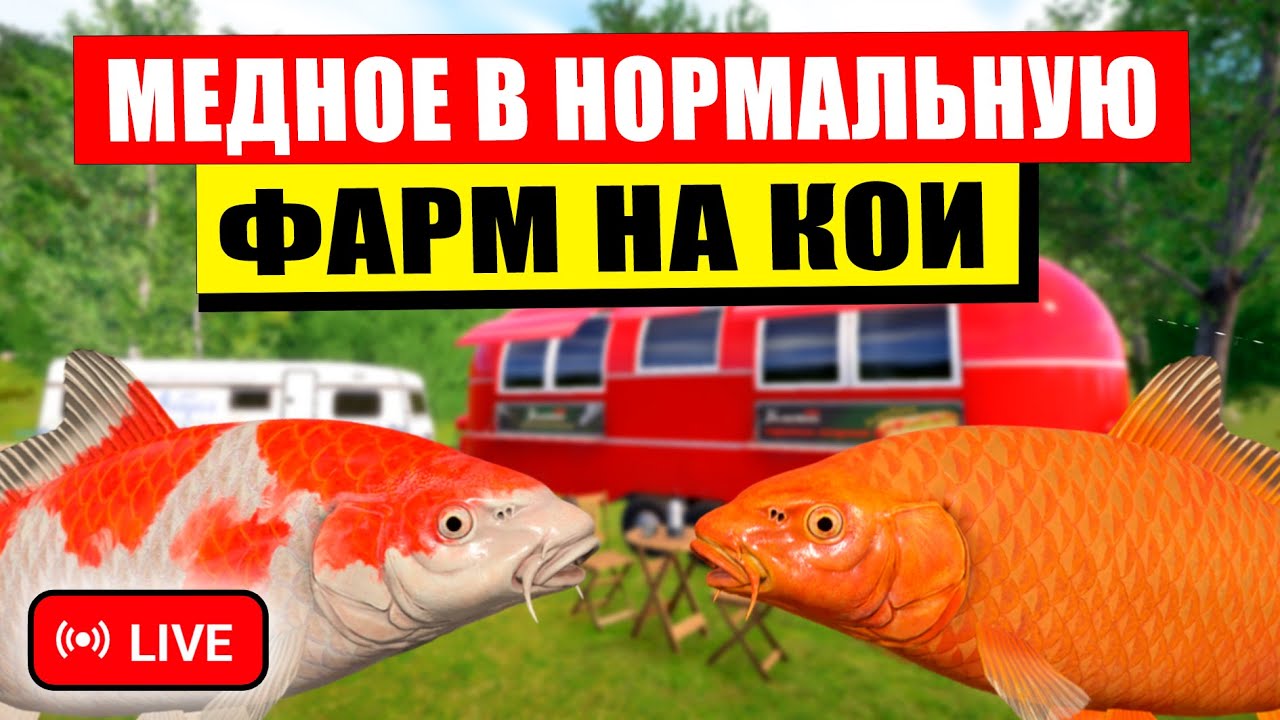 ПРОВЕРЯЕМ РАЗДАЧУ КОИ И ВЗРЫВНОГО ФАРМА НА МЕДНОМ ОЗЕРЕ! • СТРИМ • - Русская Рыбалка 4 РР4