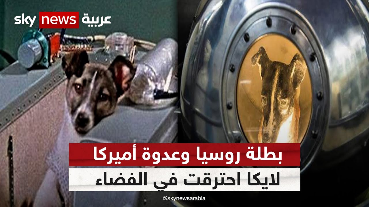 بطلة روسيا وعدوة أميركا.. لايكا التي احترقت في الفضاء | #وثائقيات_خاصة