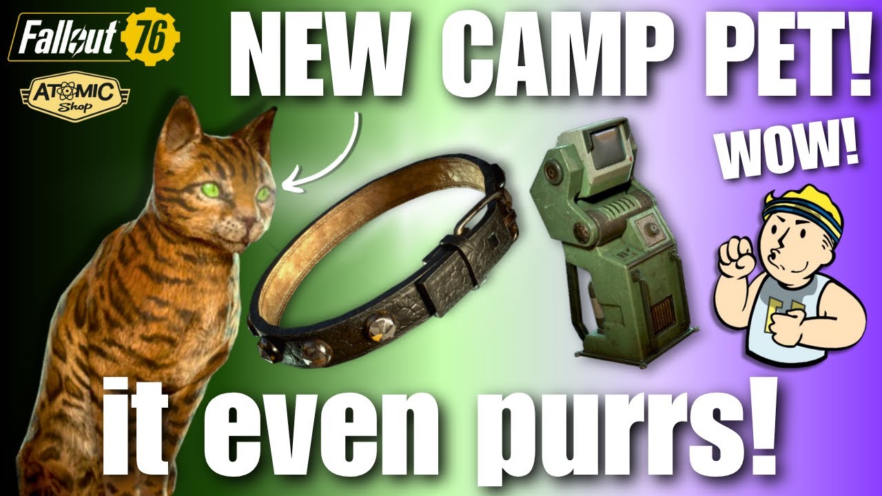 WILD CAT BUNDLE! JOVIAL atom shop update review | Fallout 76