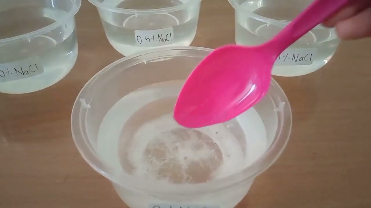 The Effect of Salt Concentration to the Growth of Mung Beans | Biology Academic Prompt