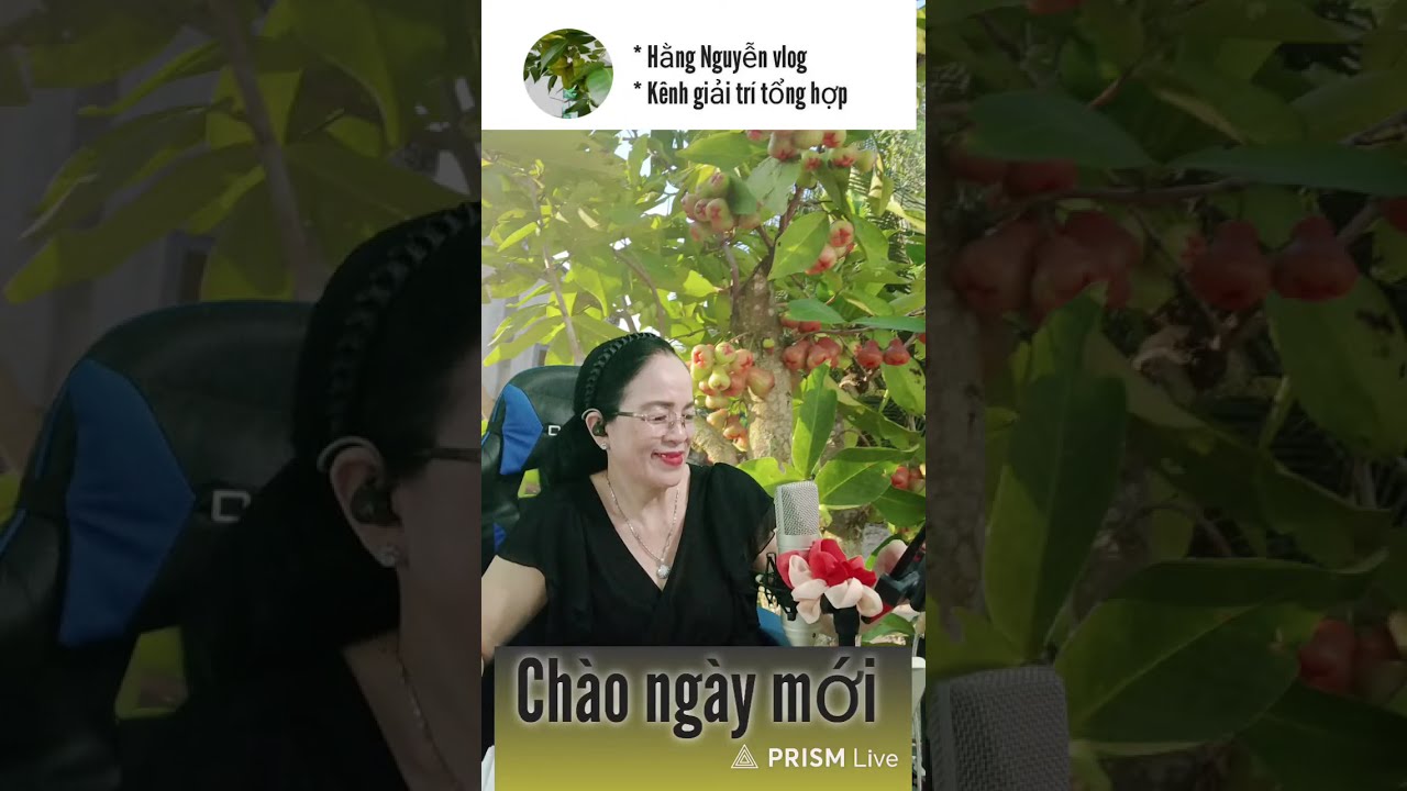 Giao lưu ca hát ngày 07/03/2026 Tiếp theo