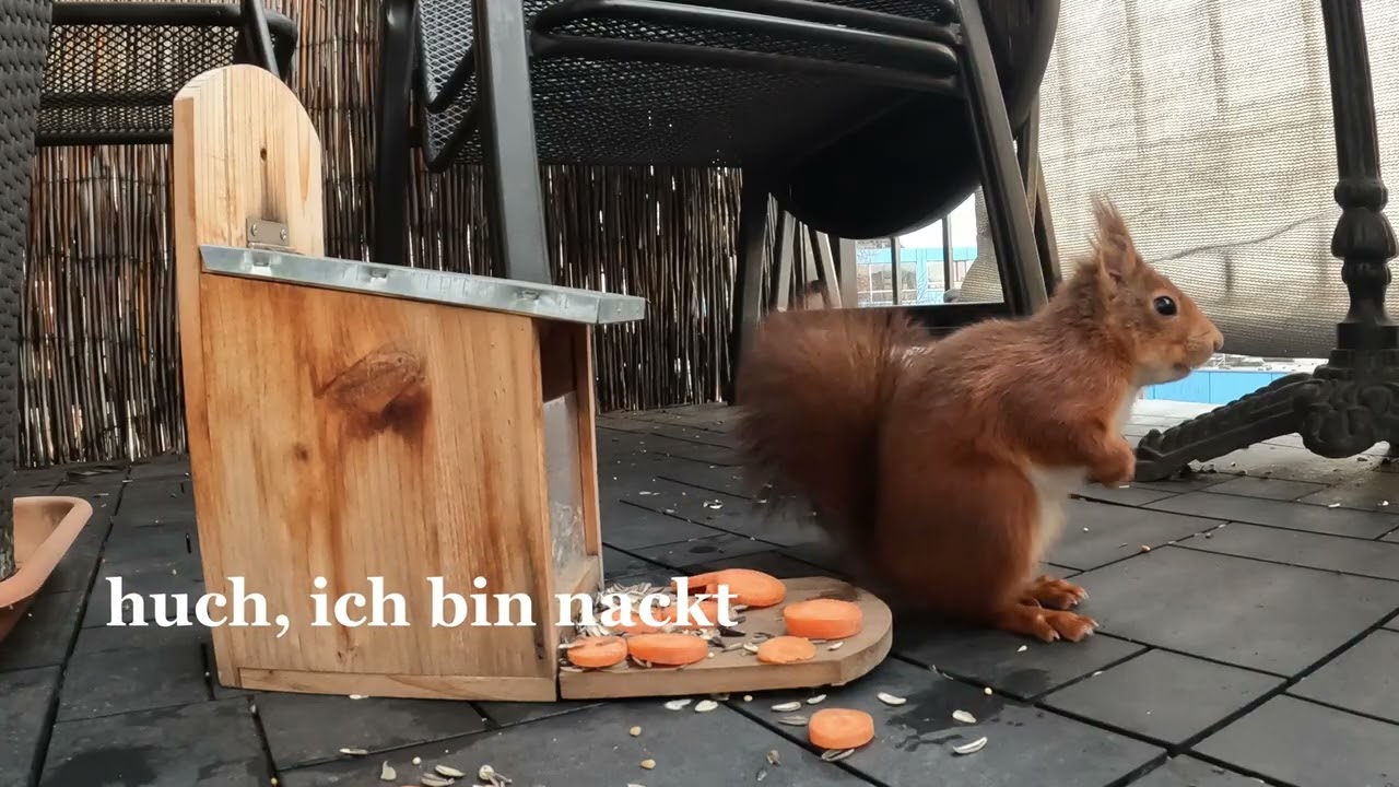 Randale