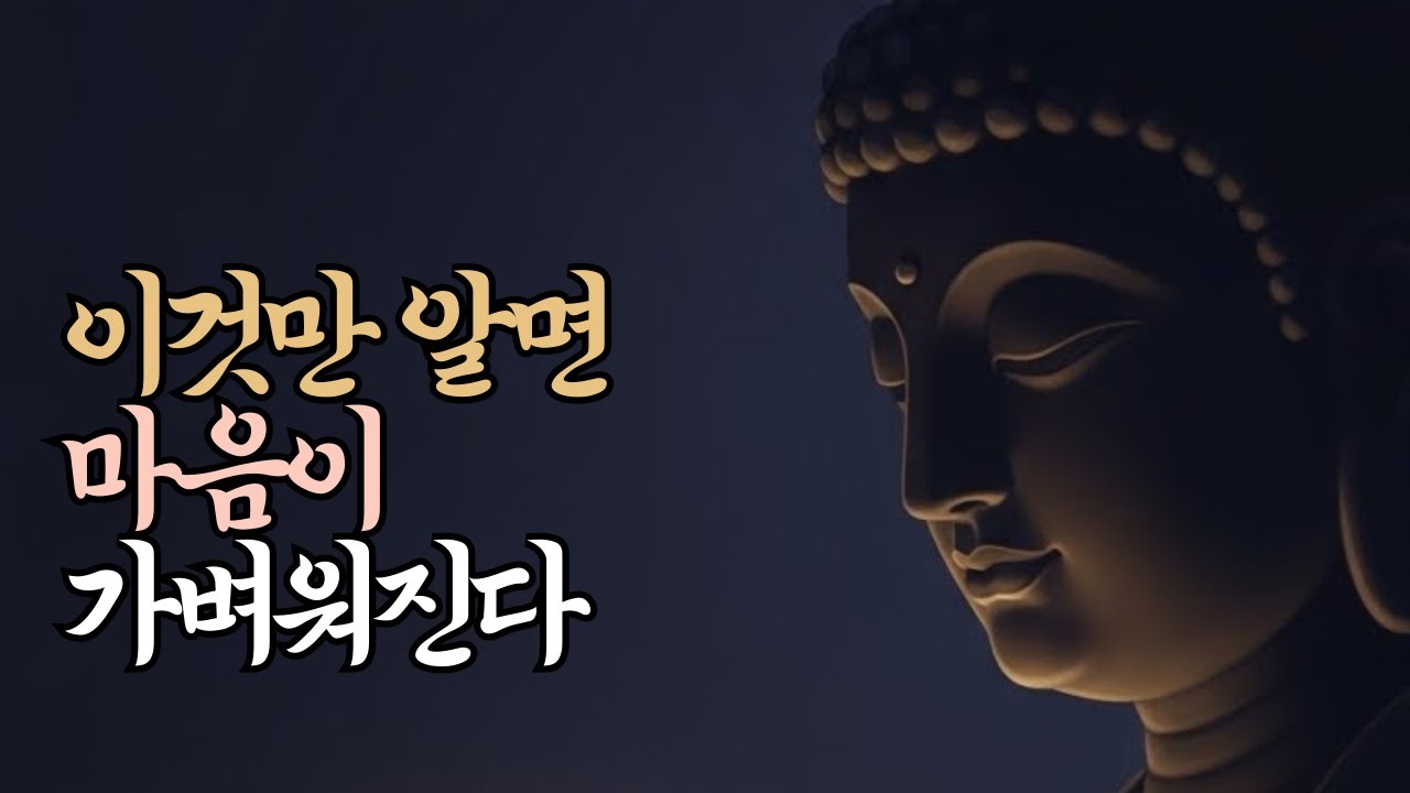 평생 성실했는데 불안이 남은 이유