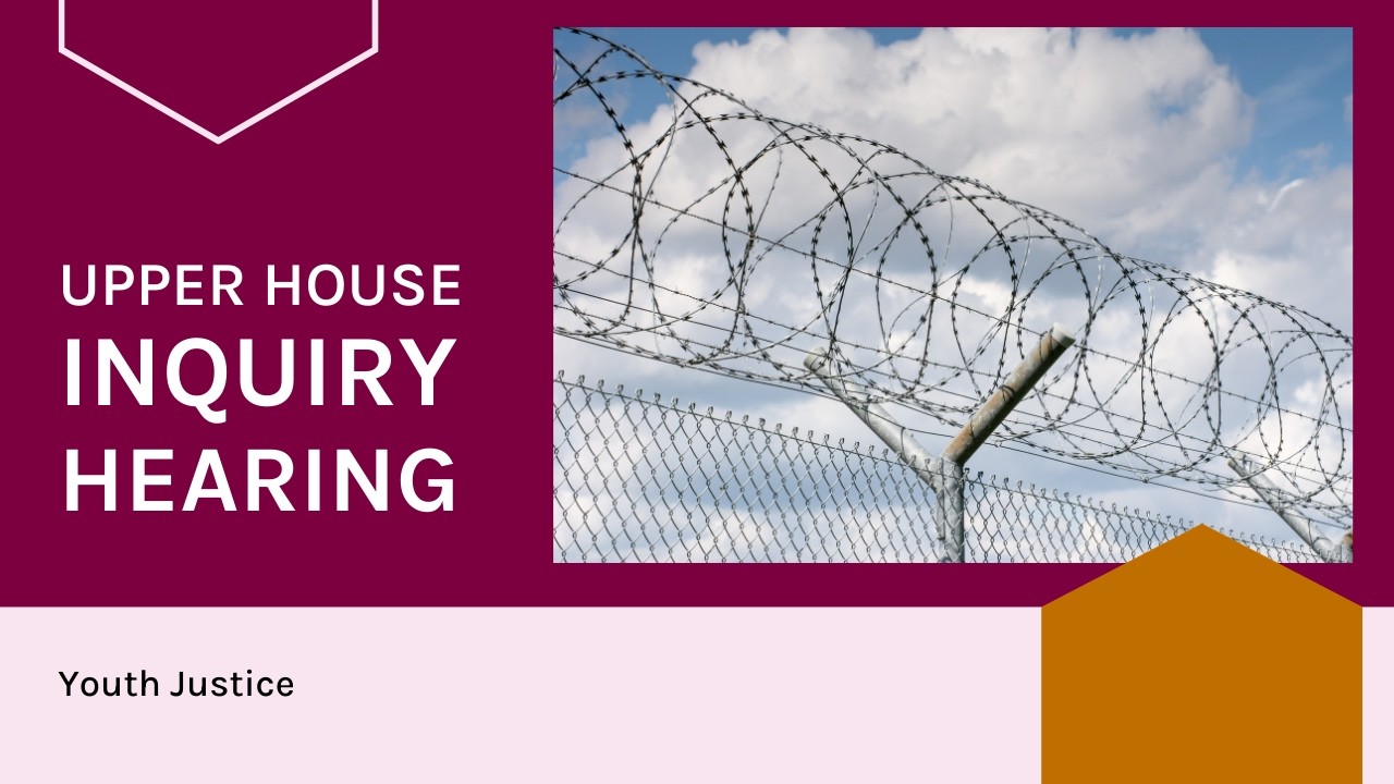 Public hearing   Select Committee on Youth Justice   14 July 2026