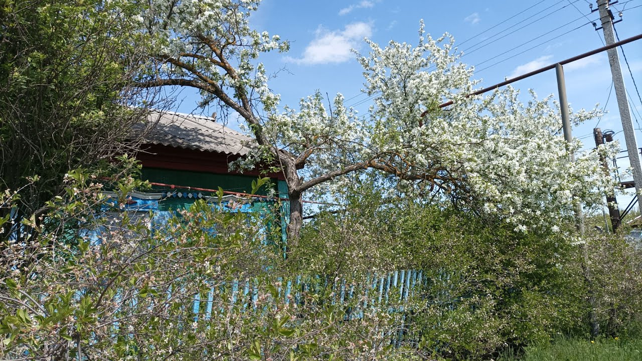 Аткарск - город детства. Улицы Уральская и Транспортная .