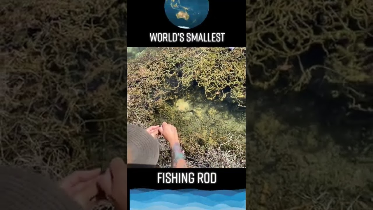menor vara de pescar do mundo! #varadepescar #pesca