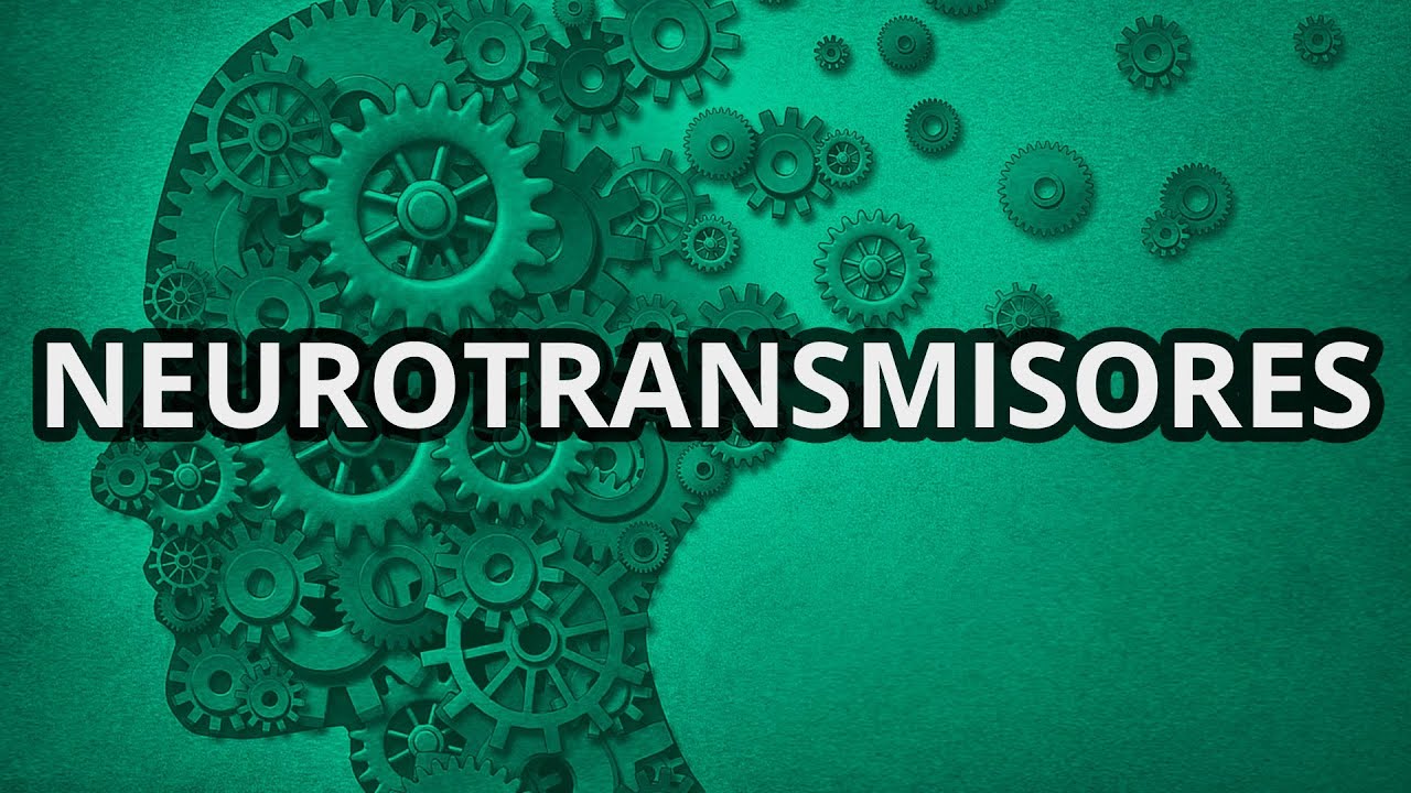 Neurotransmisores