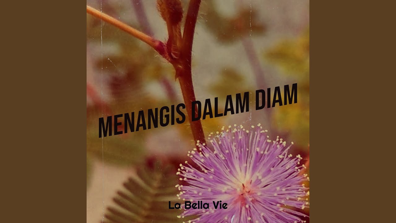 Menangis Dalam Diam