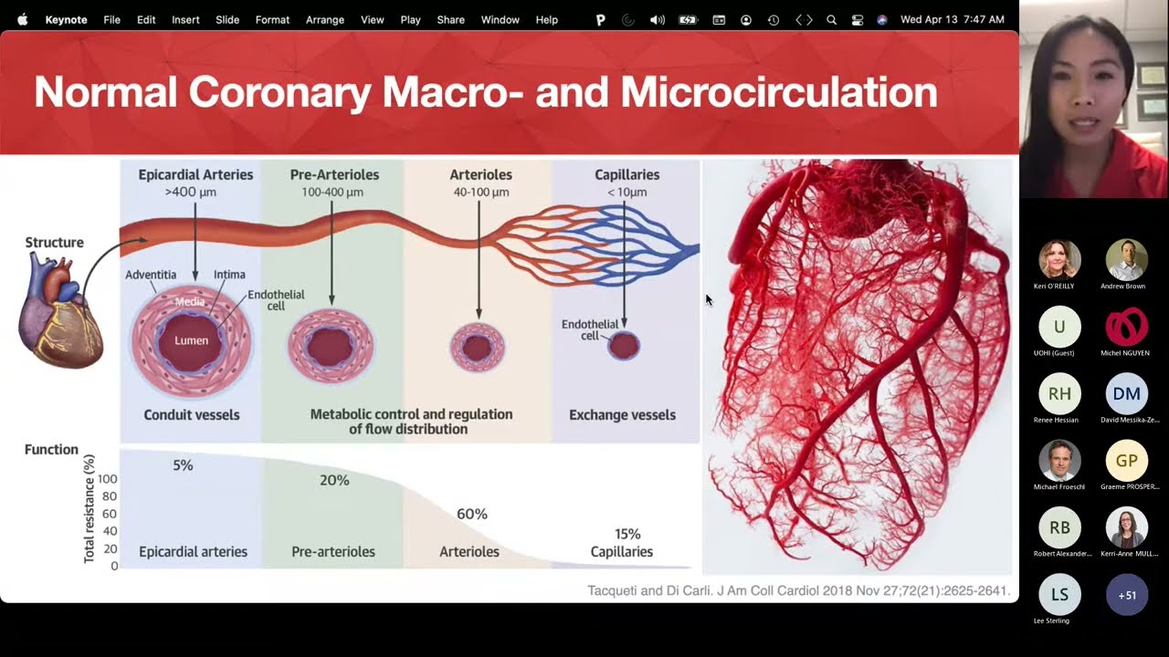 Ischemia w/ no Obstructive Coronary Arteries, The Role of Cardiovascular Magnetic Resonance Imaging